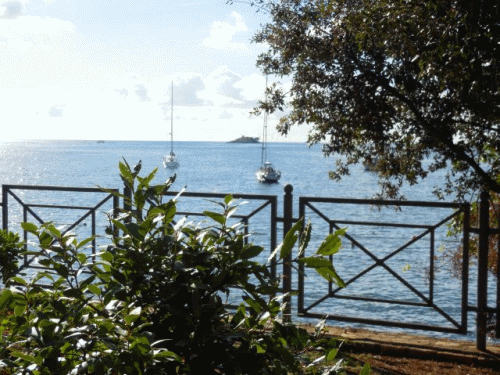 Foto Rovinj Zlatni rt: Blick aufs Meer