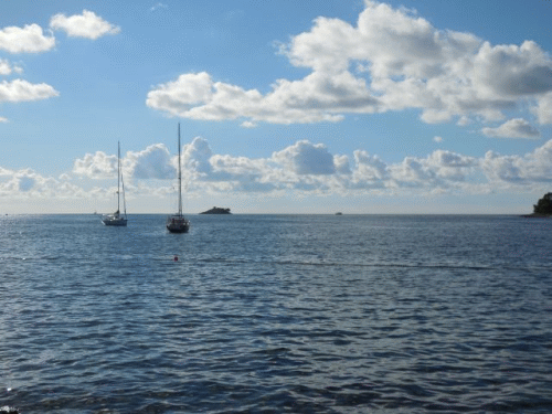 Foto Rovinj Zlatni rt: Blick aufs Meer