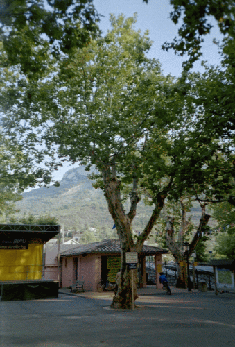 Foto Buis-les-Baronnies: Baum mit Inschrift