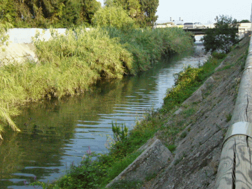 Foto Cagnes-sur-Mer: Blick zum Meer
