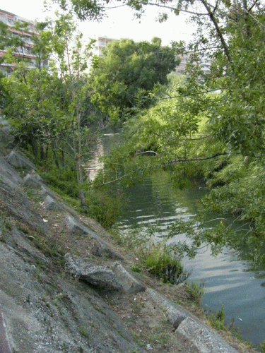 Foto Cagnes-sur-Mer: Blick ins Land 1