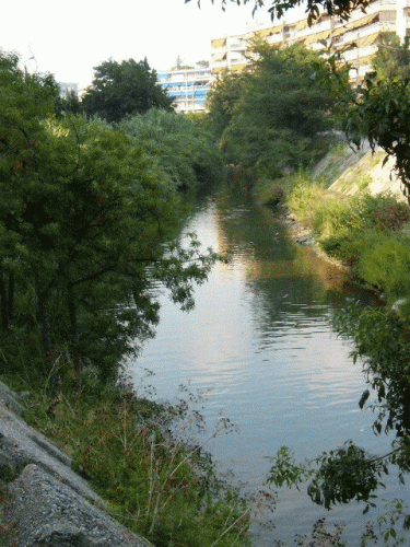Foto Cagnes-sur-Mer: Blick ins Land 3