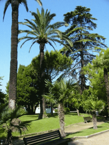 Foto Cagnes-sur-Mer: der Park