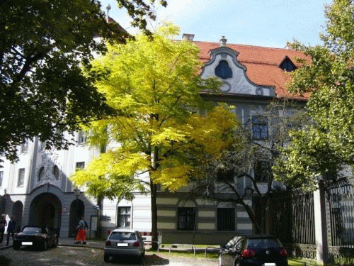 Foto Augsburg: Bischofspalast (1)