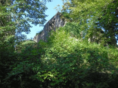 Foto Burg Eberbach: Ankunft