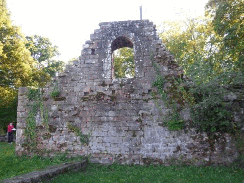 Foto Burg Eberbach: Romanisches Fenster