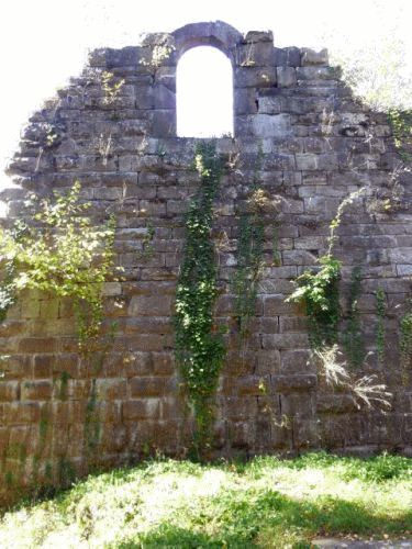 Foto Burg Eberbach: oberes Rundbogenfenster