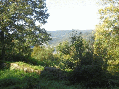 Foto Burg Eberbach: Blick bers Neckartal
