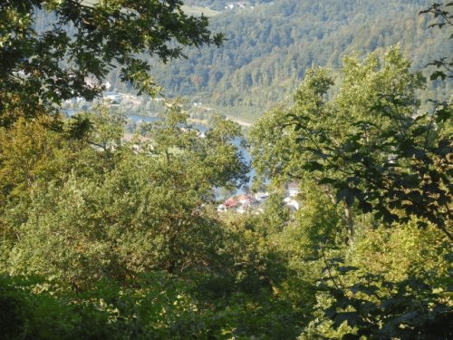 Foto Burg Eberbach: Blick zum Neckar