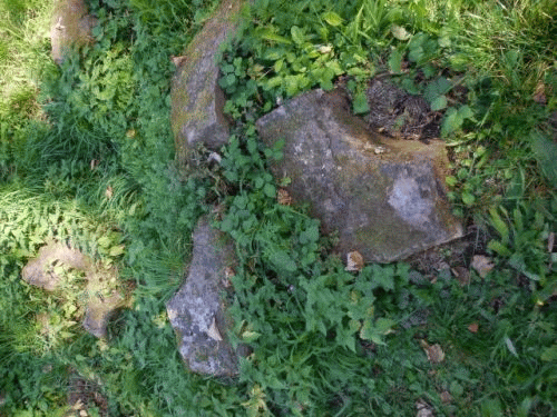 Foto Burg Eberbach: Rundbogenteile im Gras