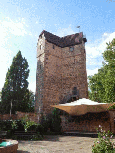 Foto Eberbach: Suleneiche und Pulverturm vom Ephrata-Platz aus