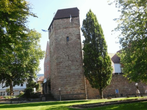 Foto Eberbach: Suleneiche und Pulverturm von auerhalb der Stadt
