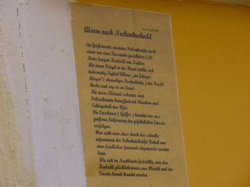 Foto: Inschrift zum Edinger Krokodil