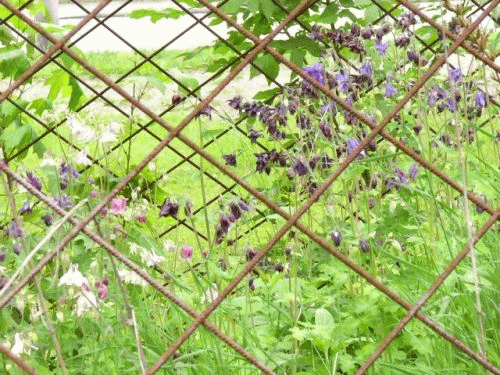 Foto: Inneres der Germeringer Wachstumspyramide