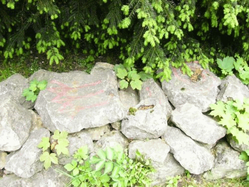 Foto: verblassende Symbole auf der Wachstumsspirale