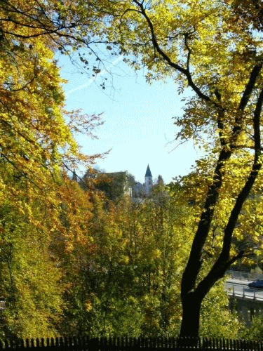 Foto: Blick auf Grnwald vom anderen Isarufer