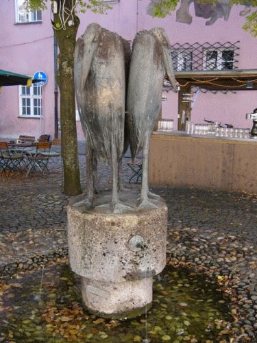 Photo High School in Ingolstadt: marabous in front of the High School