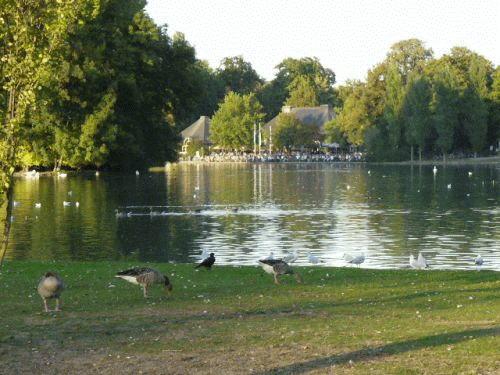 Foto: Mnchen Kleinhesseloher See - Biergarten Seehaus