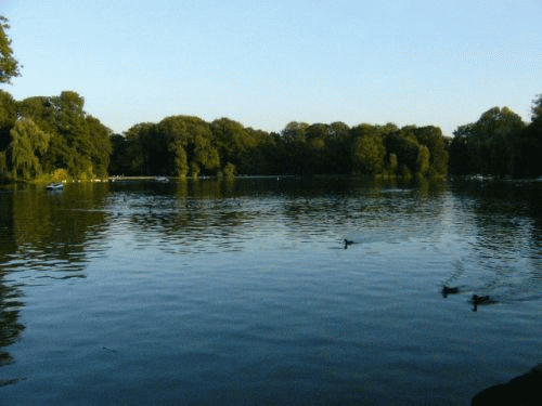 Foto: Mnchen Kleinhesseloher See - Abendstimmung