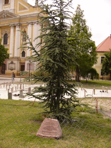 Foto: Kecskemt Ungarns EU-Beitritt