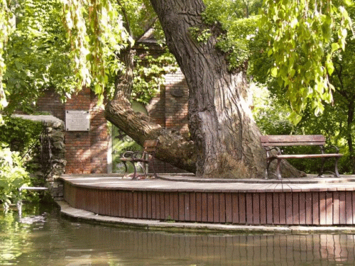 Foto Budapest Margit japanischer Garten: Halbinsel und Inschrift