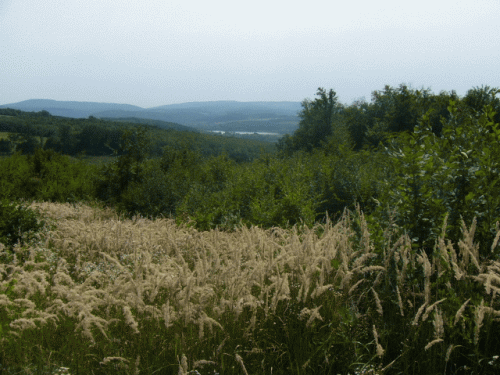 Mecsek-Gebirge: Fernblick