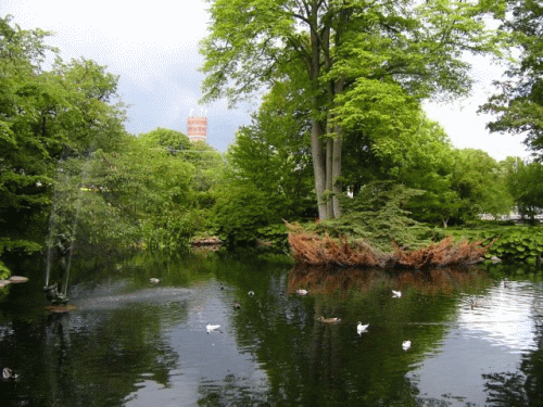 Photo Kalmar : parc du chteau fort