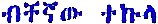 Amharischer Titel