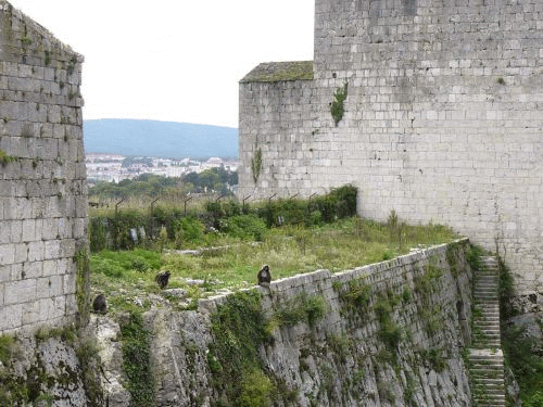 Foto Besanon: besancon_063