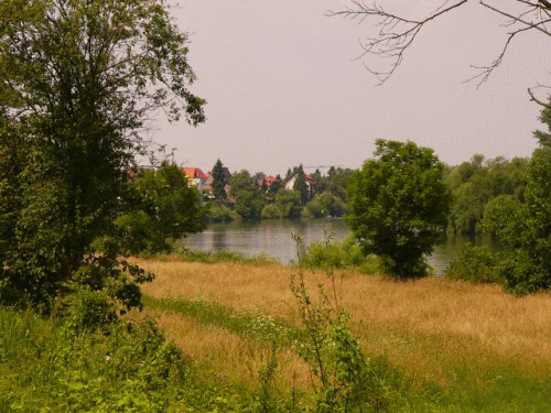 Foto: Blick flussabwrts