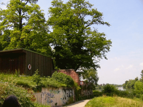 Foto: Sttzmauer unterhalb der alten Turnhalle