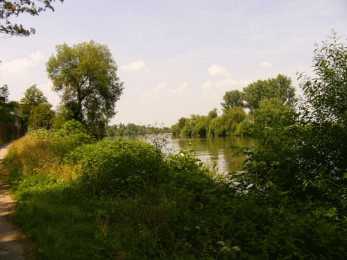 Foto: Blick flussabwrts