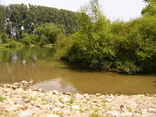 Foto Edingen: Ort der ehemaligen Krtenneckarbrcke