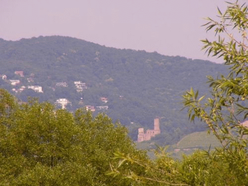 Foto: Strahlenburg ber der Bergstrae