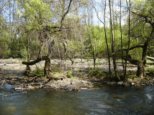 Foto Munique Wrm: terreno inundvel