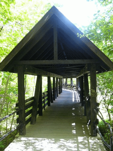 Foto Munique: ponte coberta sobre o ribeiro Wrm