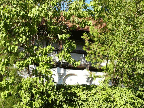 Foto Ingolstadt: Stadtmauer mit Wehrgang, fast vllig von Bumen verdeckt